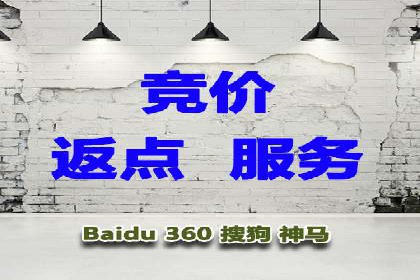 某电商平台SEM竞价广告的转化率提升案例
